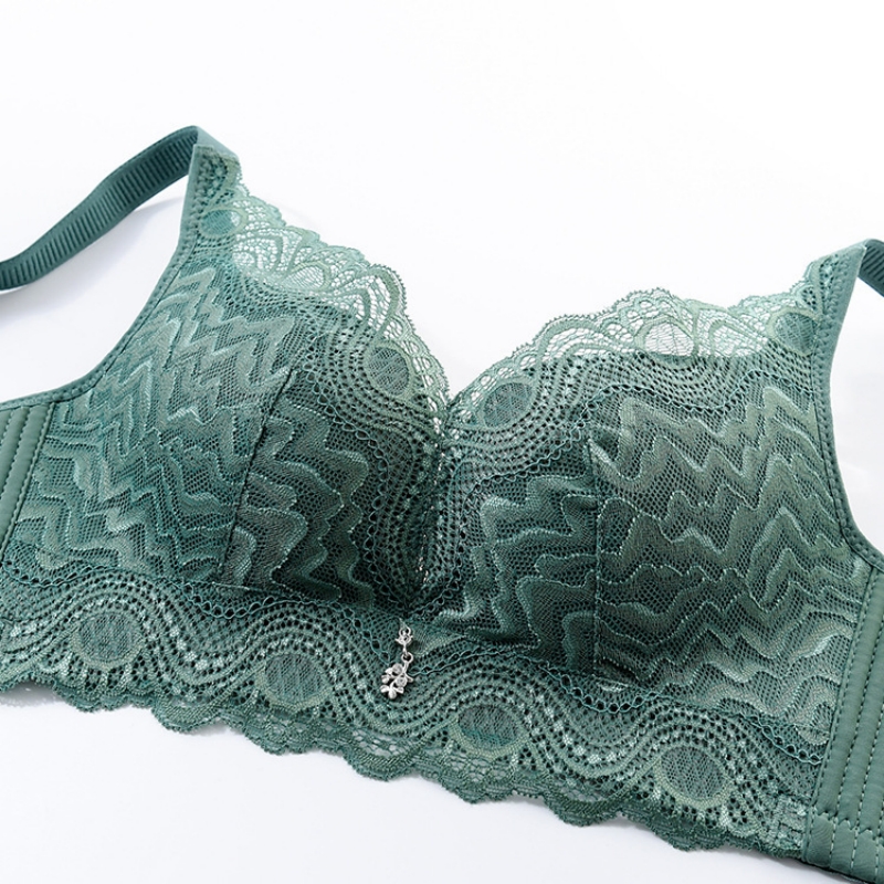 Women Lace Underwears Bra With - Nursing Bra Clip のレビューと価格